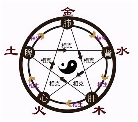 金木水火土生肖|金木水火土出生年月对照表 金木水火土命查询表